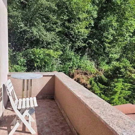 Nature Apartment