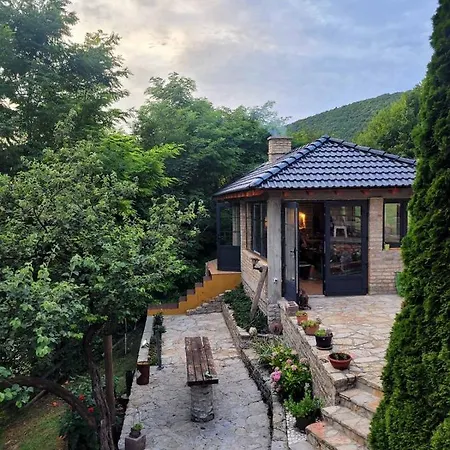 Nature Apartment